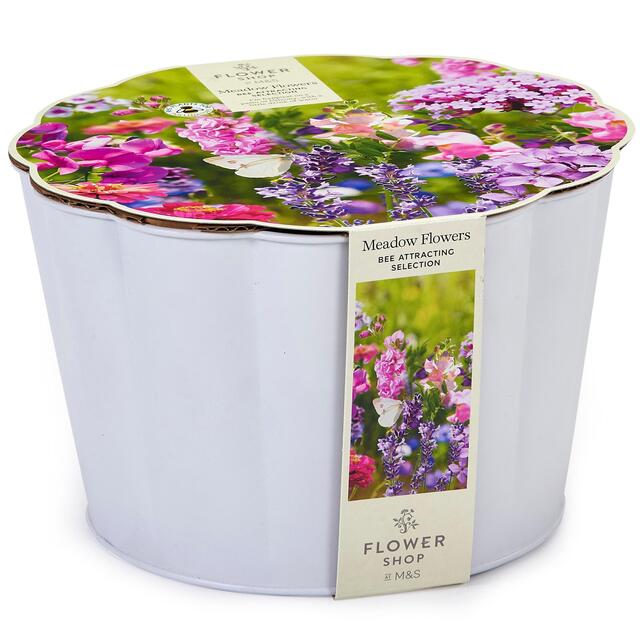 M&S Bee Meadow Collection Flowers