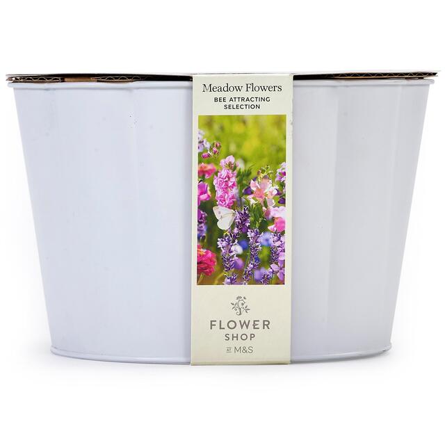 M&S Bee Meadow Collection Flowers thumbnail 2