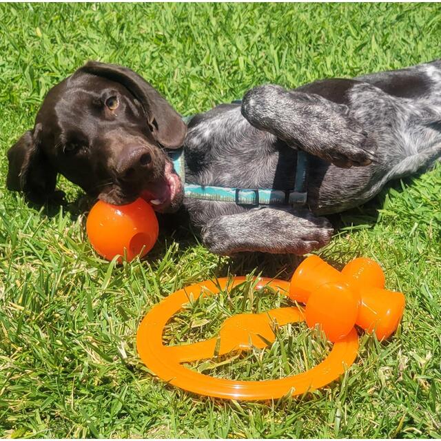 Bionic Bone Medium 12cm thumbnail 7