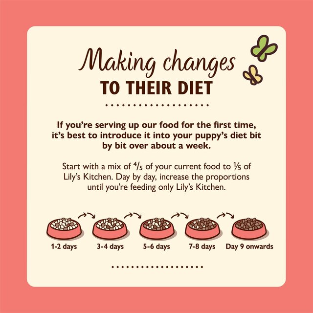 Lily's Kitchen Puppy Tin Multipack thumbnail 5