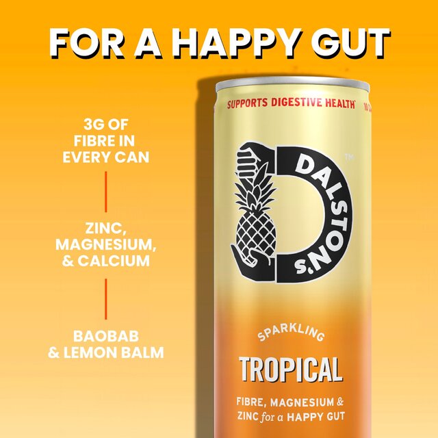 Dalston's Happy Gut Sparkling Tropical thumbnail 4