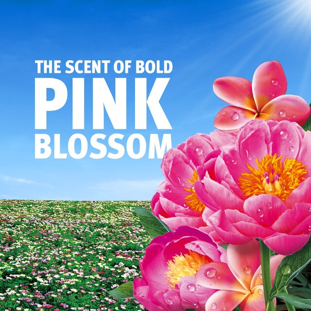 Bold 2In1 Washing Liquid Gel Pink Blossom 40 Washes thumbnail 5