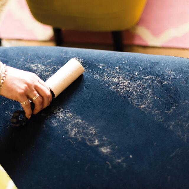 Korbond Pet Hair Lint Roller & Refill Set - 99 Sheets thumbnail 5