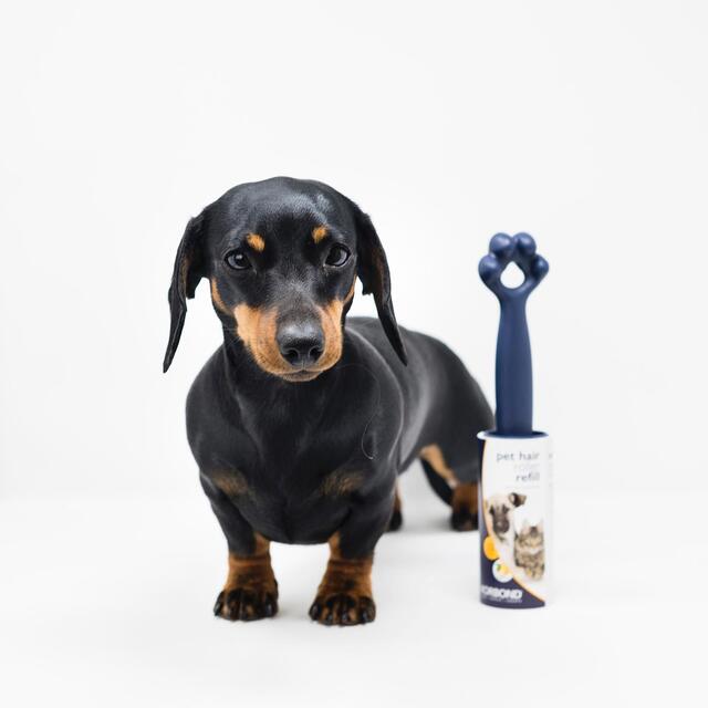 Korbond Pet Hair Roller Refill Twin Pack - 132 sheets thumbnail 7