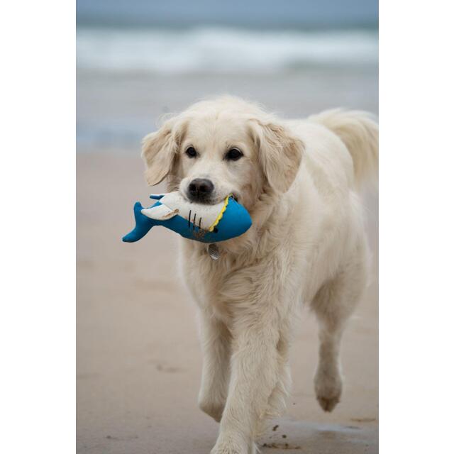 Petface Planet Ocean Cycle Salina Shark Plush Dog Toy thumbnail 5