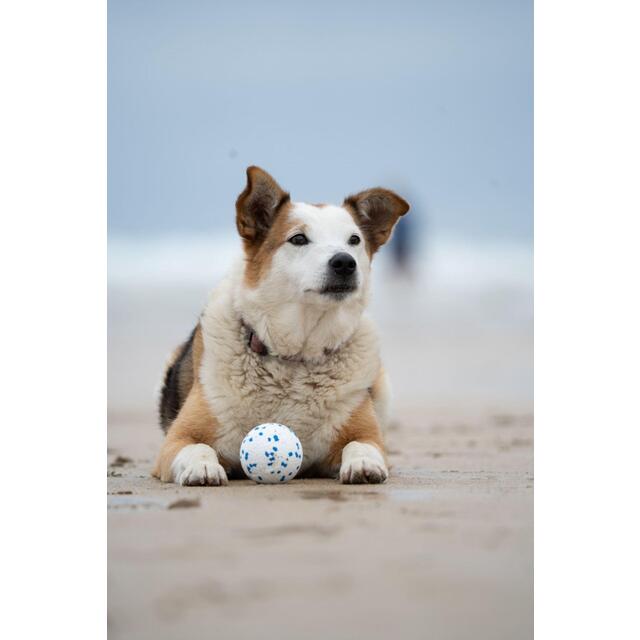 Petface Outdoor Paws Mighty Ball Dog Toy Large thumbnail 6