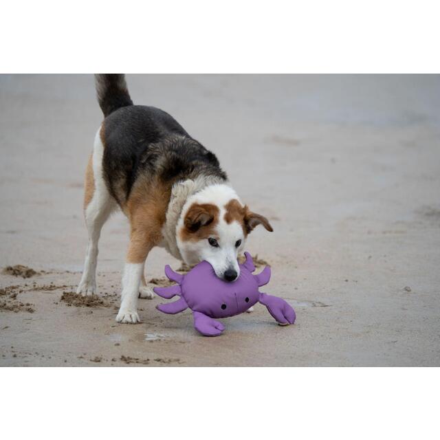 Petface Planet Ocean Cycle Callum Crab Plush Dog Toy thumbnail 5