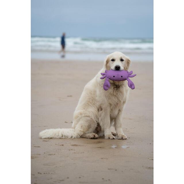 Petface Planet Ocean Cycle Callum Crab Plush Dog Toy thumbnail 6