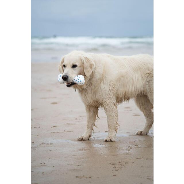 Petface Outdoor Paws Mighty Bone Dog Toy thumbnail 6