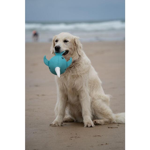 Petface Planet Ocean Cycle Niya Narwhal Plush Dog Toy thumbnail 5