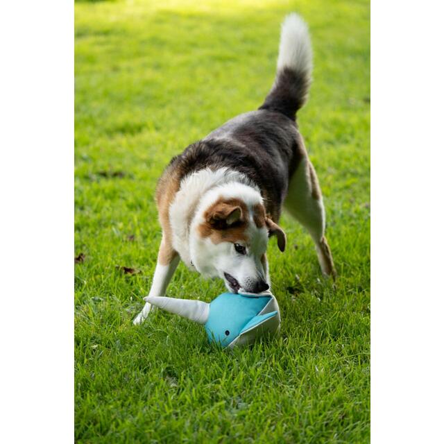 Petface Planet Ocean Cycle Niya Narwhal Plush Dog Toy thumbnail 6