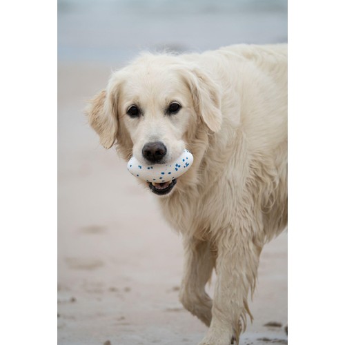 Petface Outdoor Paws Mighty Rugby Ball Dog Toy thumbnail 5