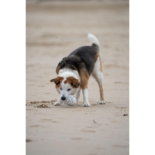 Petface Outdoor Paws Mighty Rugby Ball Dog Toy thumbnail 6