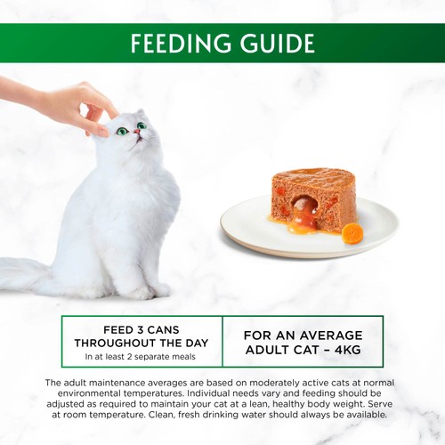 Gourmet Nature's Creations Gravy Heart Chicken Ocean Fish Wet Cat Food thumbnail 2