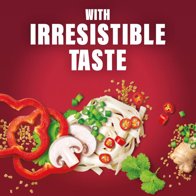 SlimFast Aromatic Singapore Noodle Nourish Pot thumbnail 2