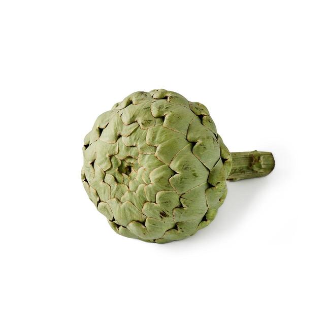 Natoora French Globe Artichoke