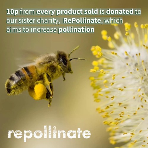 Scottish Bee Company Raspberry dressing thumbnail 2