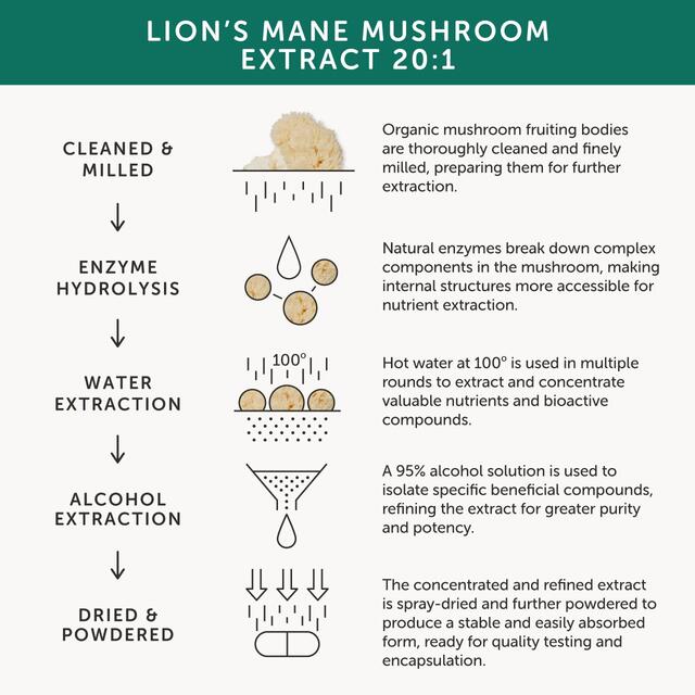 Together Health Organic Lions Mane Mushroom thumbnail 7