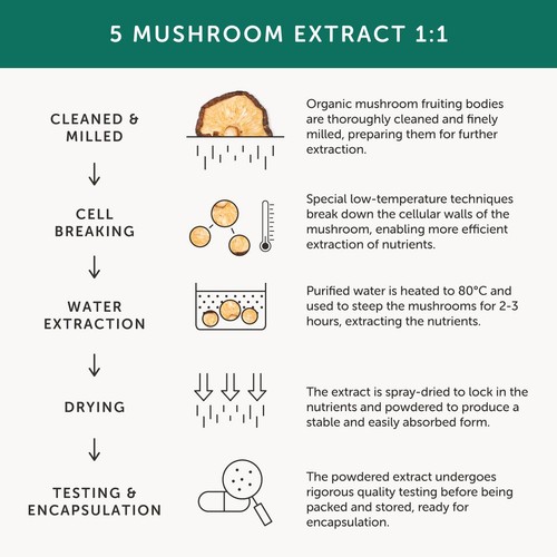 Together Health Mushroom 5 Lions Mane, Chaga & Reishi thumbnail 6