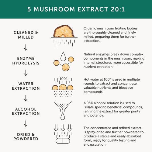 Together Health Mushroom 5 Lions Mane, Chaga & Reishi thumbnail 7