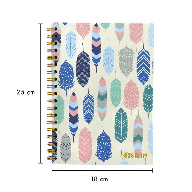 Pukka Pad - Carpe Diem B5 Spiral Hardcover Notebook Feathers thumbnail 2