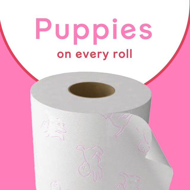 Andrex Family Soft Perfect Pull Toilet Roll Mega Rolls thumbnail 5