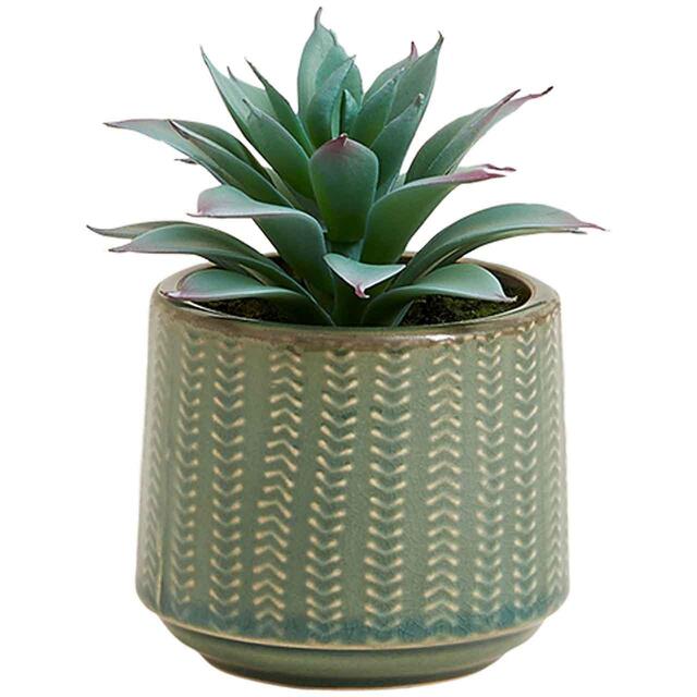 M&S Moss & Sweetpea Artificial Mini Succulent in Ceramic Pot, Mint