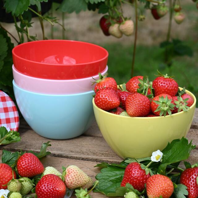 Summerhouse Strawberries & Cream Set of 4 Reusable Bowls thumbnail 3
