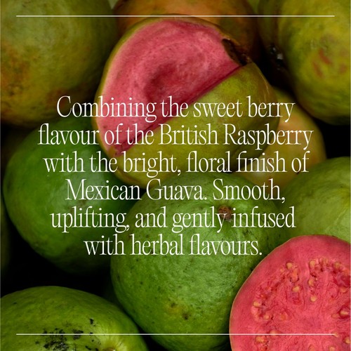 Goodrays CBD Drinks - Raspberry & Guava thumbnail 3