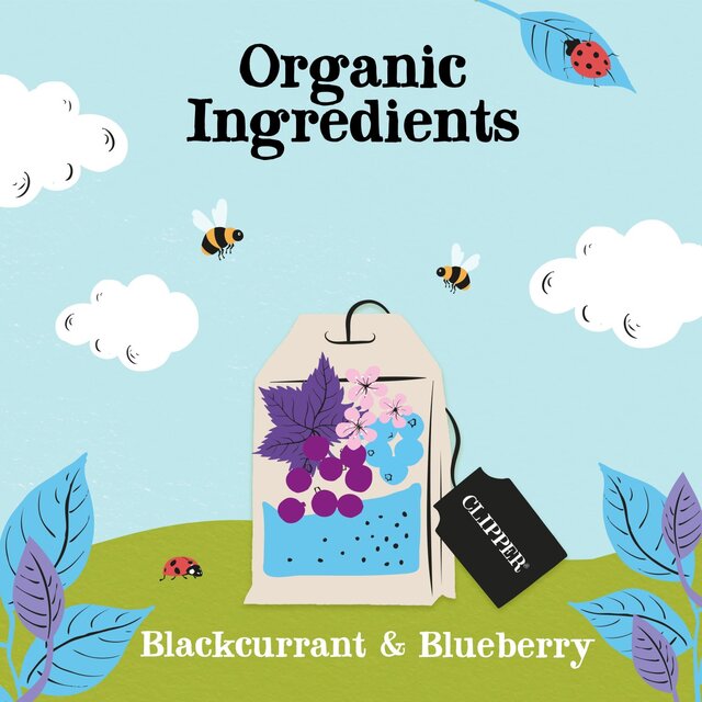 Clipper Blackcurrant & Blueberry Organic Tea Bags thumbnail 2