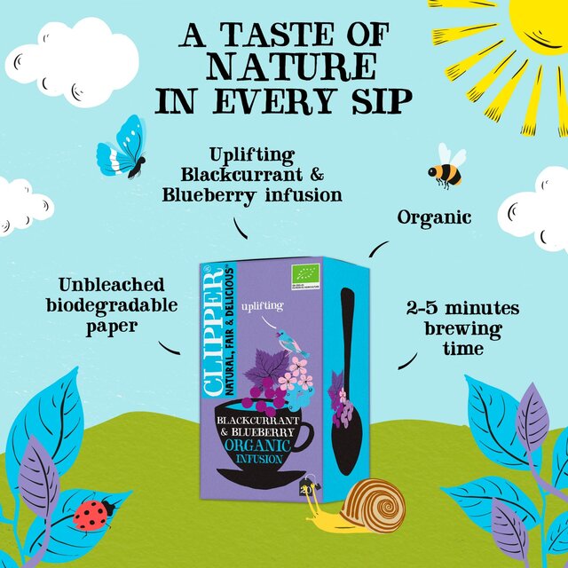 Clipper Blackcurrant & Blueberry Organic Tea Bags thumbnail 3
