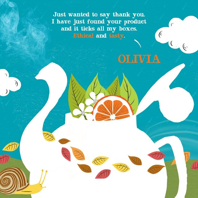 Clipper Orange & Turmeric Organic Infusion thumbnail 8