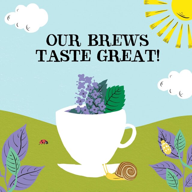 Clipper Peppermint & Spearmint Organic Tea Bags thumbnail 10