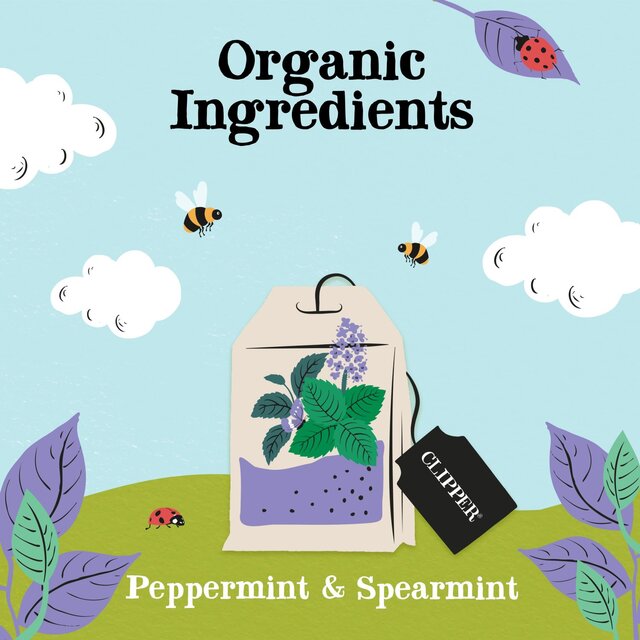 Clipper Peppermint & Spearmint Organic Tea Bags thumbnail 4