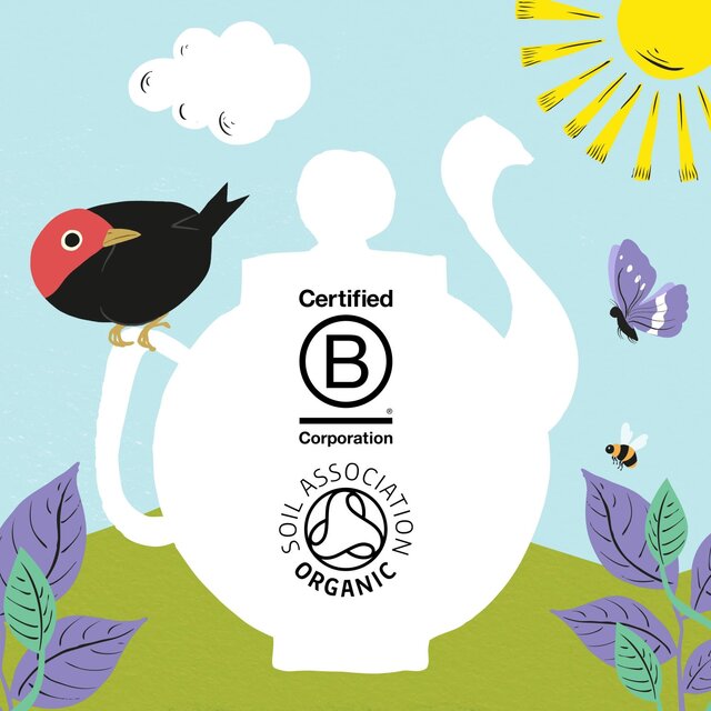 Clipper Peppermint & Spearmint Organic Tea Bags thumbnail 9