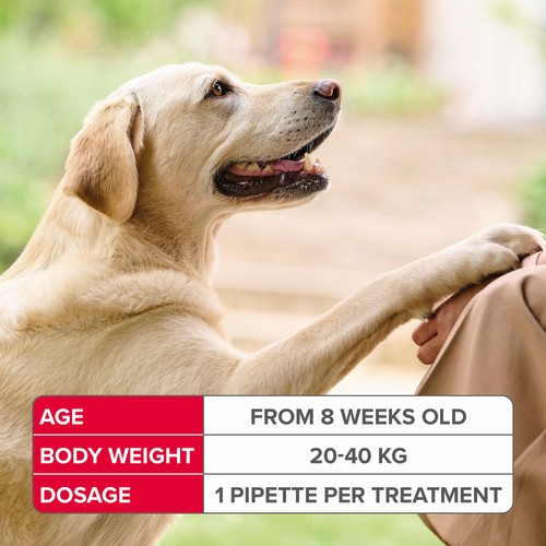 Beaphar FIPROtec Spot-On for Large Dog thumbnail 8