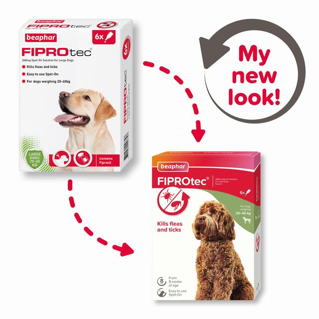 Beaphar FIPROtec Spot-On for Large Dog thumbnail 2