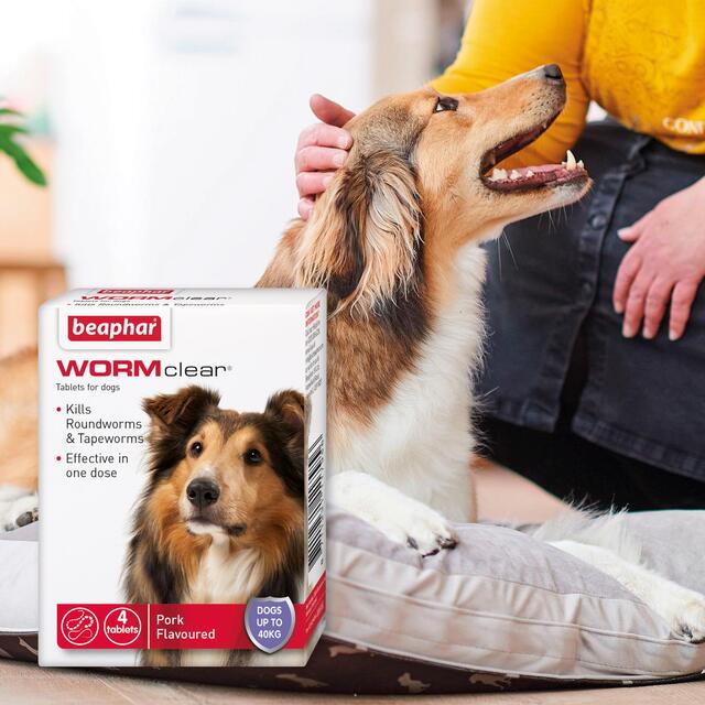 Beaphar WORMclear Tablets for Dogs Up to 40kg thumbnail 4
