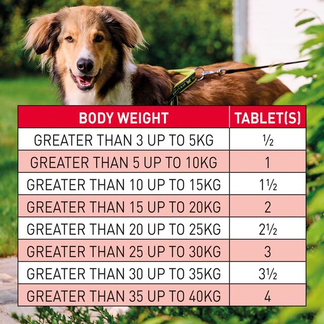Beaphar WORMclear Tablets for Dogs Up to 40kg thumbnail 5