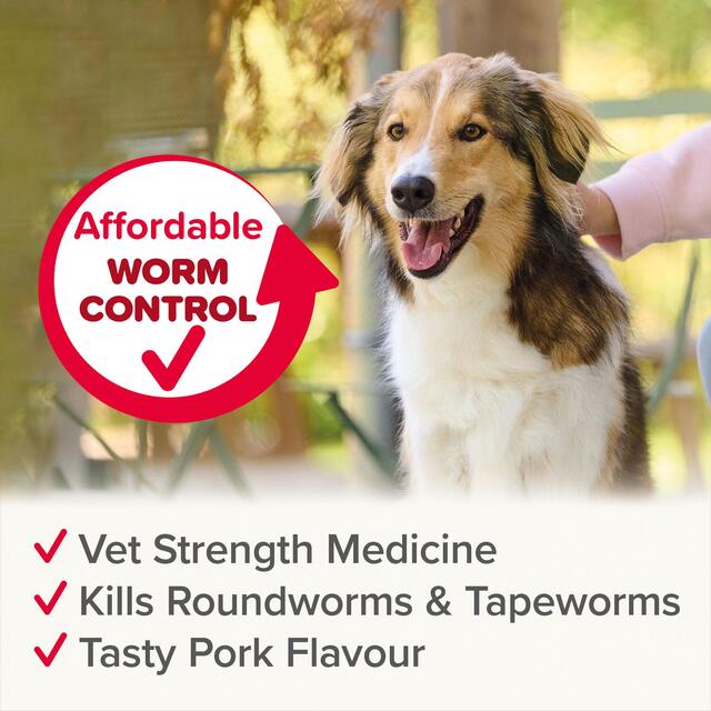 Beaphar WORMclear Tablets for Dogs Up to 40kg thumbnail 6