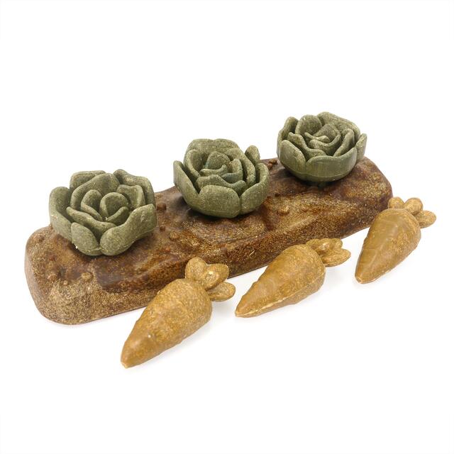 Veggie Burst Salad Patch thumbnail 2