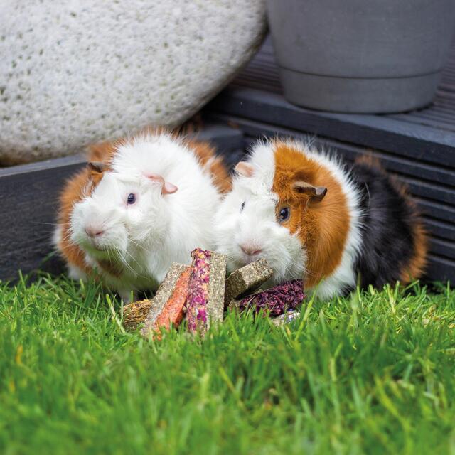 Luxury Flower, Fruit & Veg Bars thumbnail 2