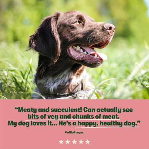 Harringtons Adult Grain Free Wet Dog Food Tray, Tasty thumbnail 5