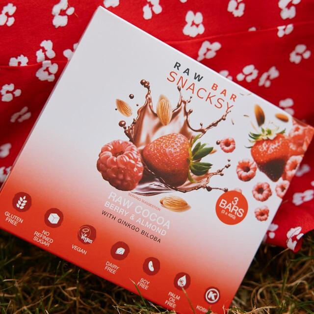 Snacksy Raw, Vegan, Alternative Chocolate Bar, Berry & Gingko Biloba thumbnail 4