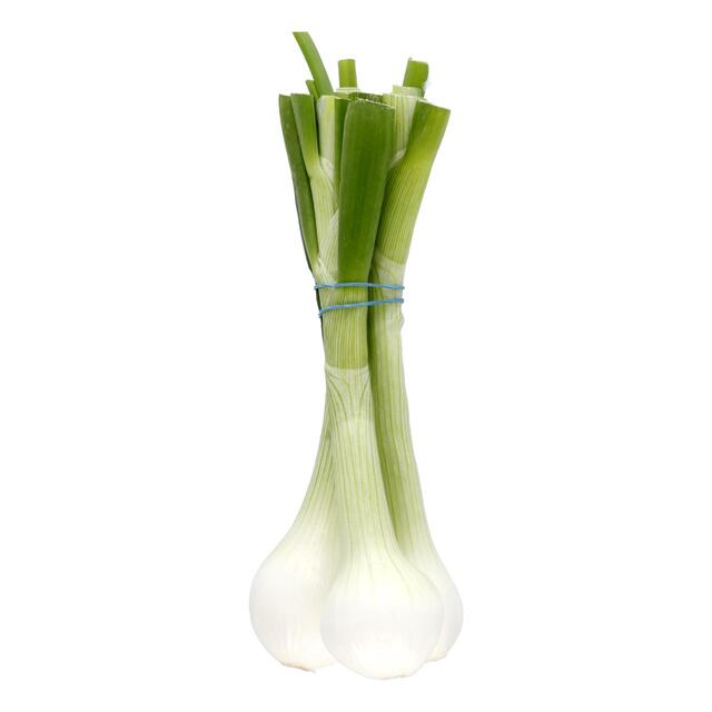 M&S Jumbo Salad Onions