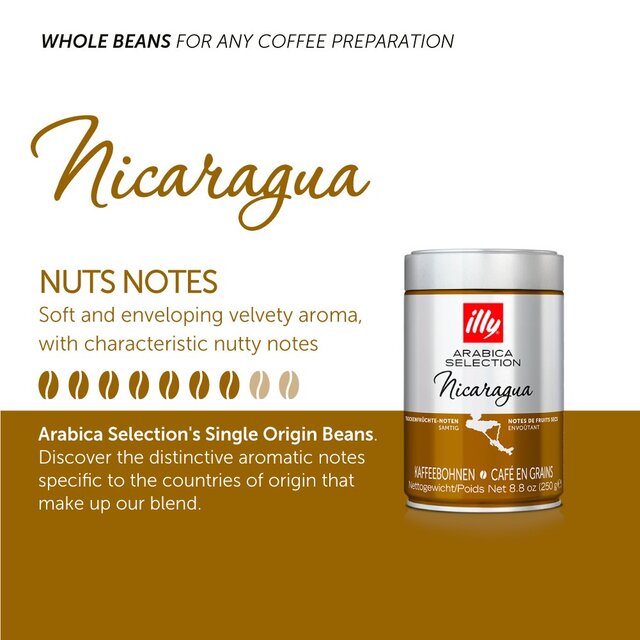 illy Arabica Selection Nicaragua Beans thumbnail 3