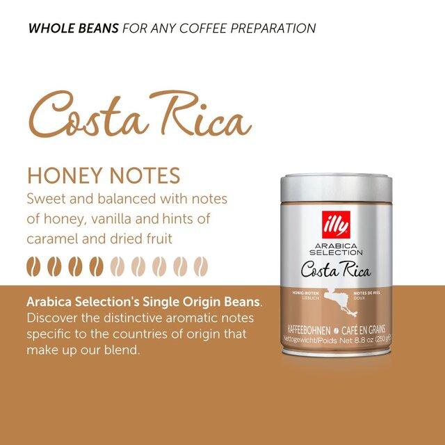 illy Arabica Selection Costa Rica Beans thumbnail 3