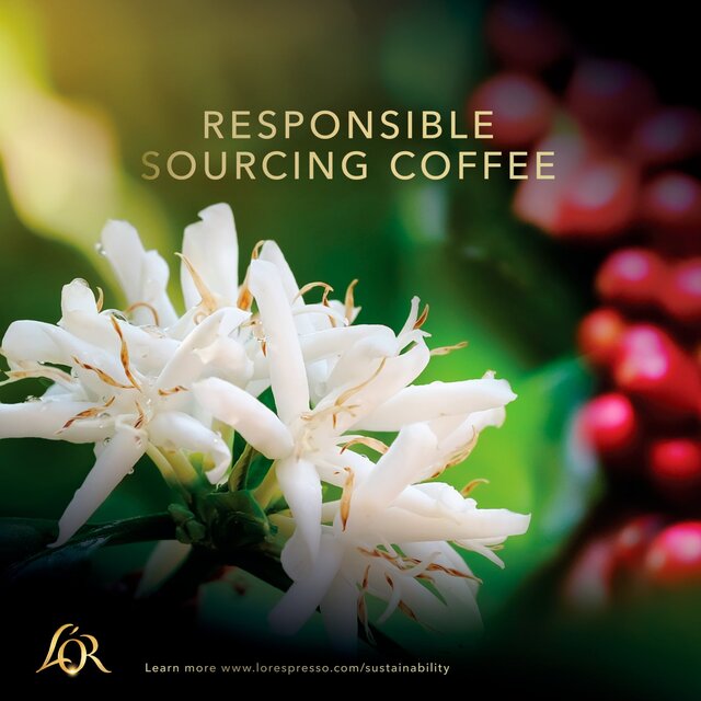 L'OR Crema Absolu Classique Coffee Beans thumbnail 6