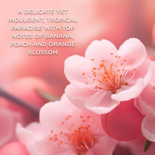 Baylis & Harding Boudoire Fragrance Discovery Gift Set thumbnail 5