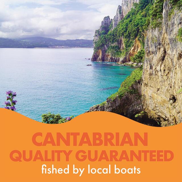 Fish 4 Ever Anchovies in Organic Olive Oil thumbnail 3